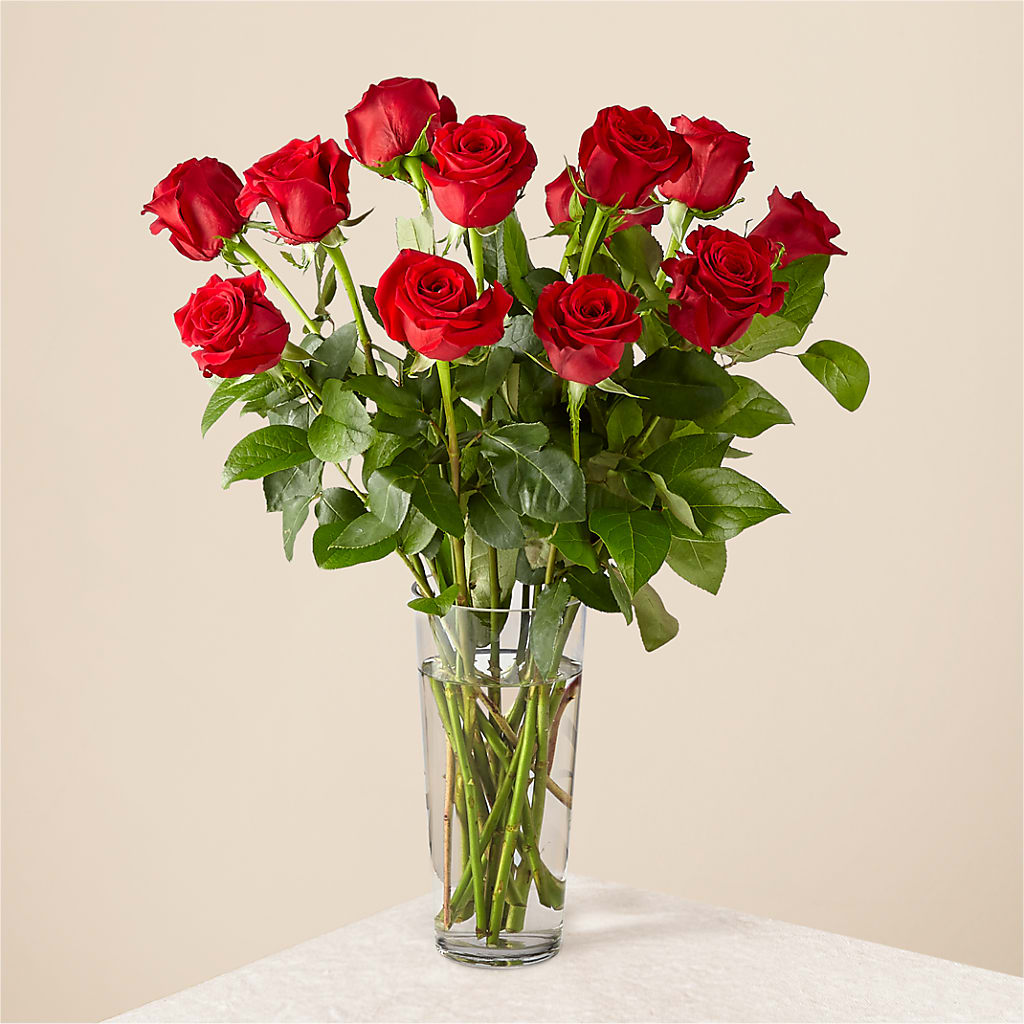Long Stem Red Rose Bouquet – Springerville Flower Shop, Springerville AZ