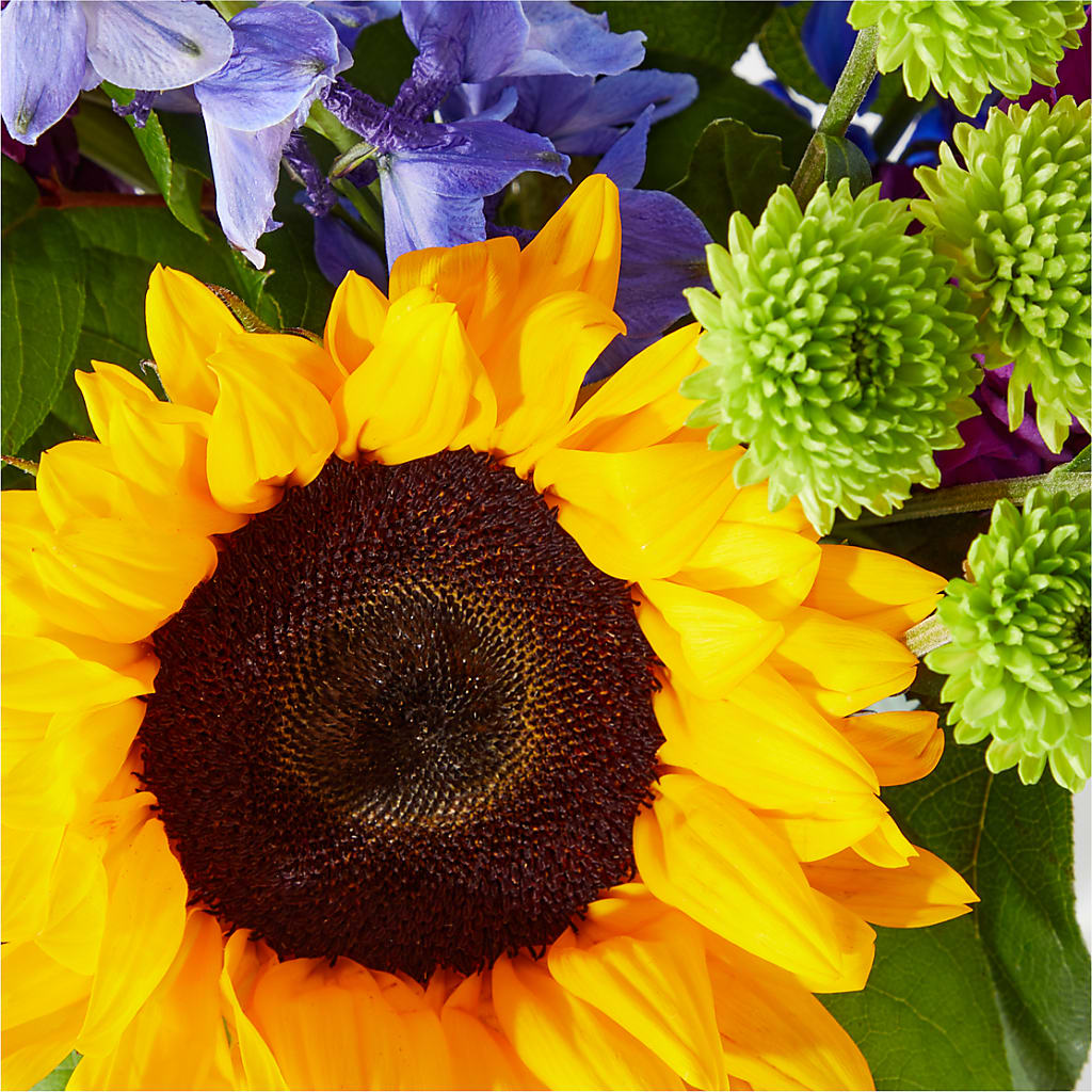 Catching Rays Bouquet – Springerville Flower Shop, Springerville AZ
