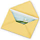 Greeting Card – Springerville Flower Shop, Springerville AZ