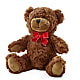 Adorable Plush Bear –  Springerville Flower Shop, Springerville AZ