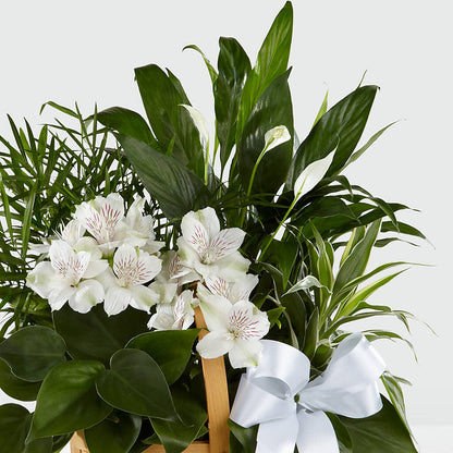Peace & Serenity Dishgarden –  Springerville Flower Shop, Springerville AZ