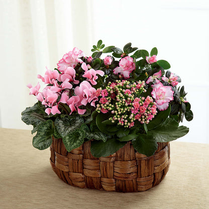 Pink Assortment –  Springerville Flower Shop, Springerville AZ
