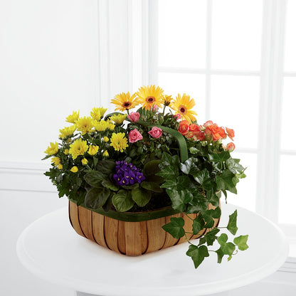 Gentle Blossoms Basket –  Springerville Flower Shop, Springerville AZ