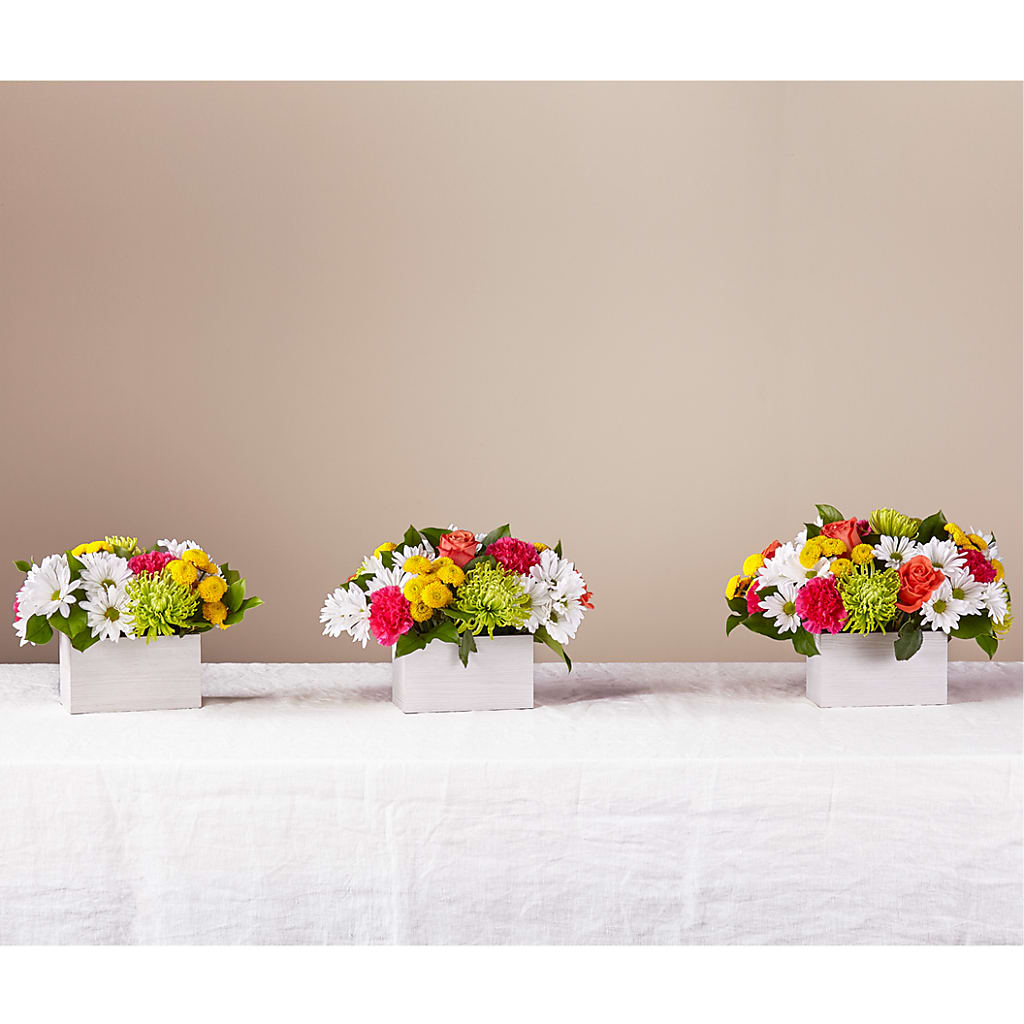 Sorbet Bouquet –  Springerville Flower Shop, Springerville AZ