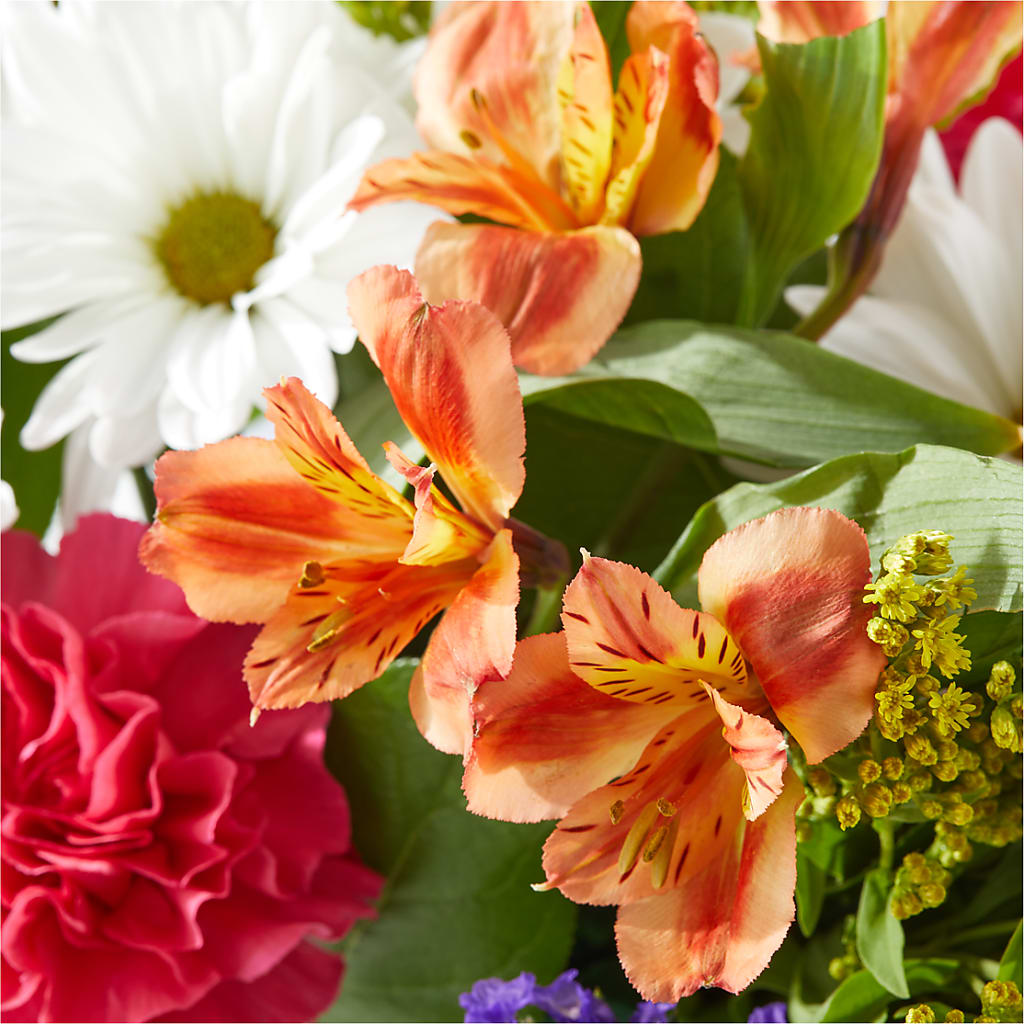 Oopsie Daisy Box Bouquet –  Springerville Flower Shop, Springerville AZ