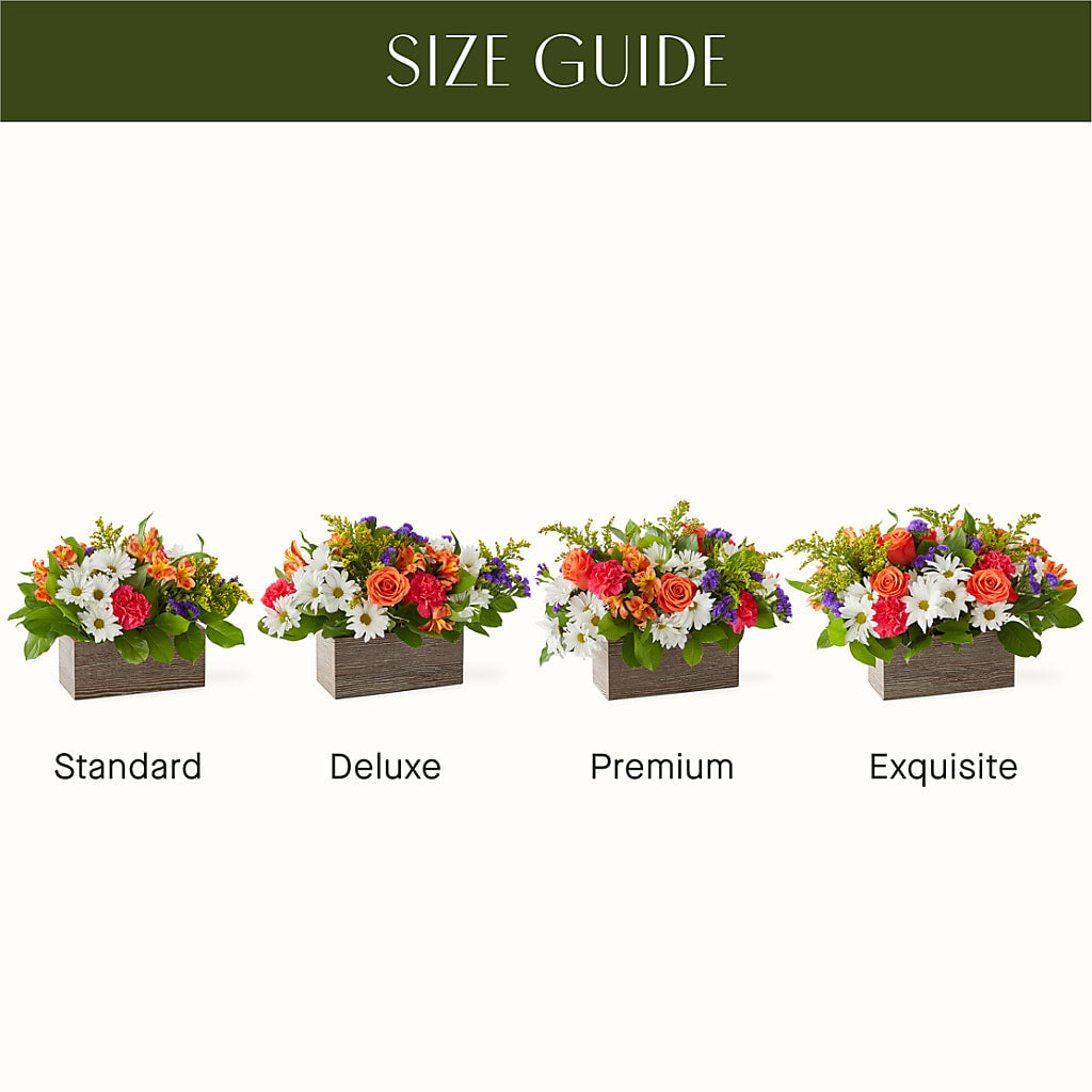 Oopsie Daisy Box Bouquet –  Springerville Flower Shop, Springerville AZ