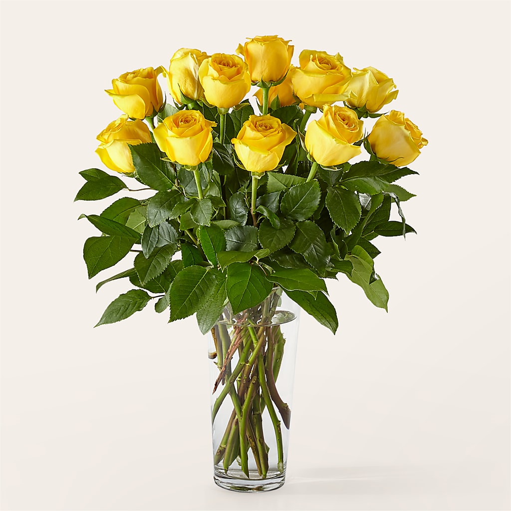 Long Stem Yellow Rose Bouquet –  Springerville Flower Shop, Springerville AZ