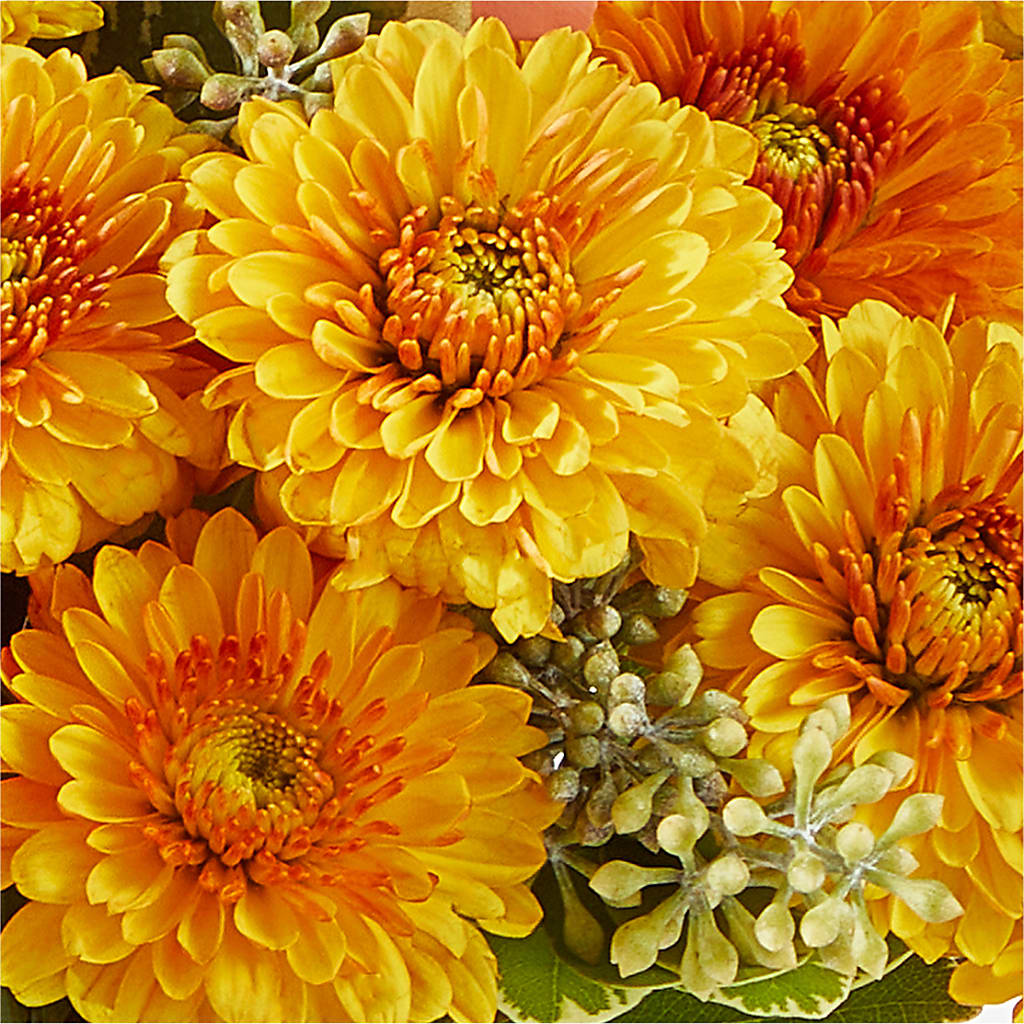 Peachy Pumpkin –  Springerville Flower Shop, Springerville AZ