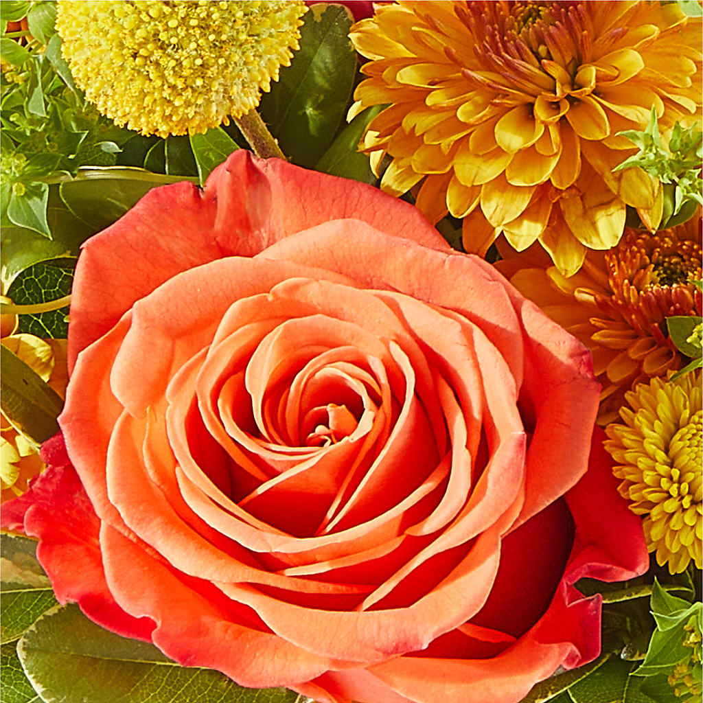 Gourdgeous Pumpkin –  Springerville Flower Shop, Springerville AZ