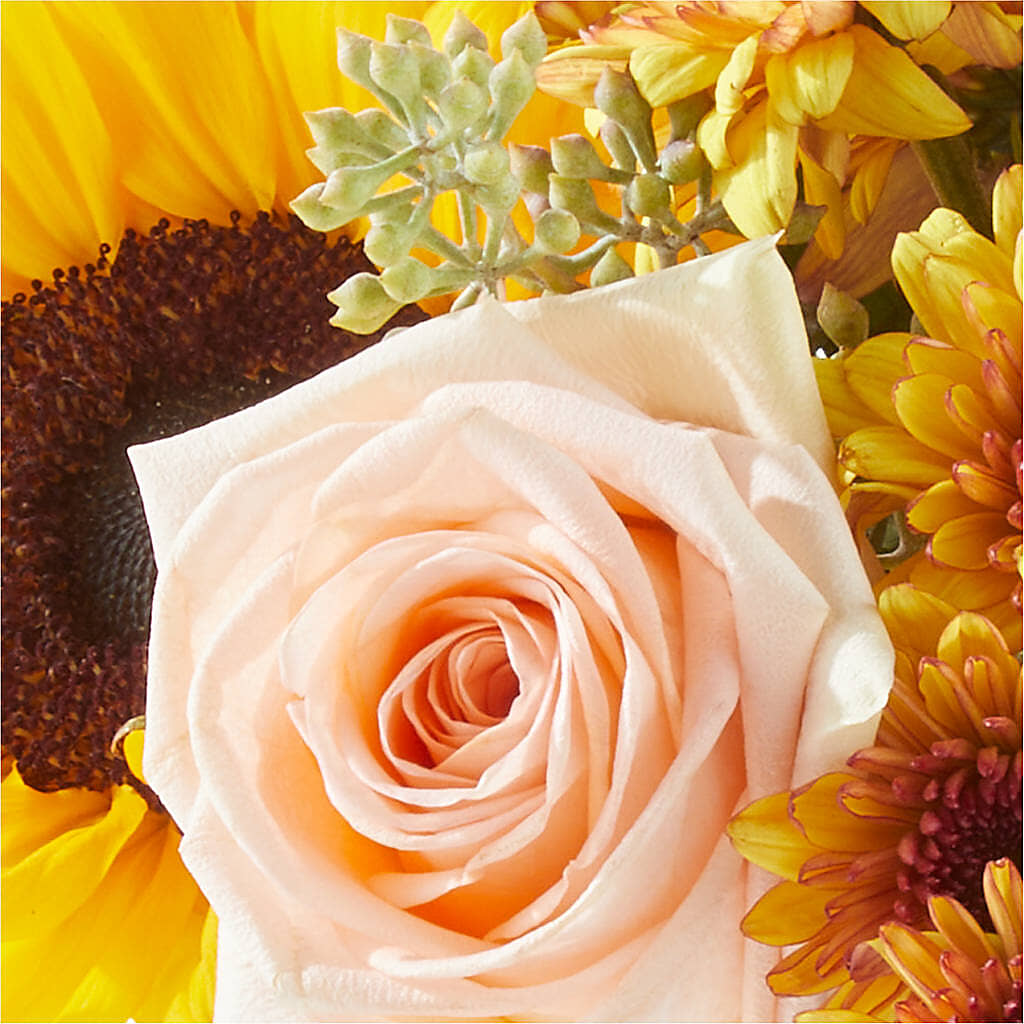 Pumpkin to Talk About Bouquet –  Springerville Flower Shop, Springerville AZ