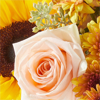 Pumpkin to Talk About Bouquet –  Springerville Flower Shop, Springerville AZ