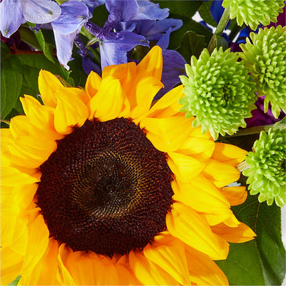 Catching Rays Bouquet –  Springerville Flower Shop, Springerville AZ