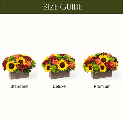 Happy Harvest Garden –  Springerville Flower Shop, Springerville AZ