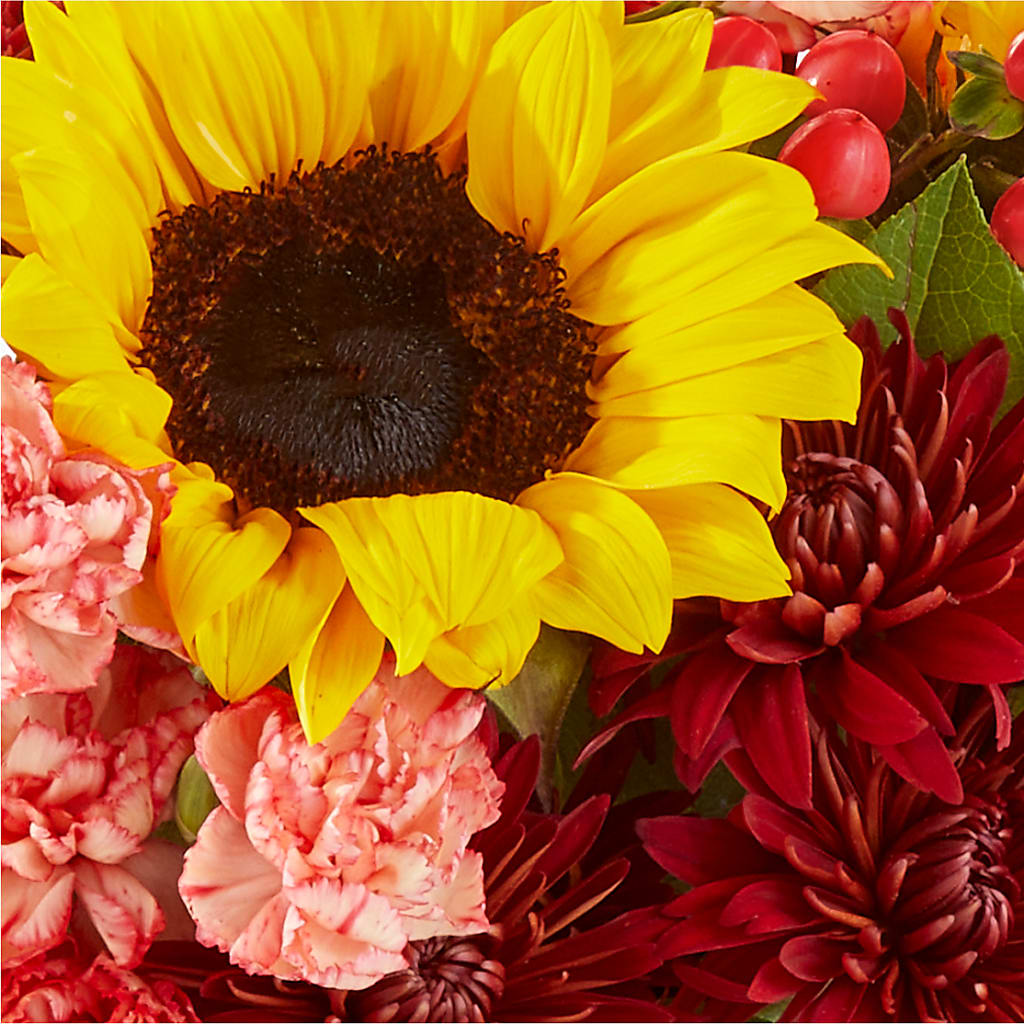 Fresh Cider Bouquet –  Springerville Flower Shop, Springerville AZ