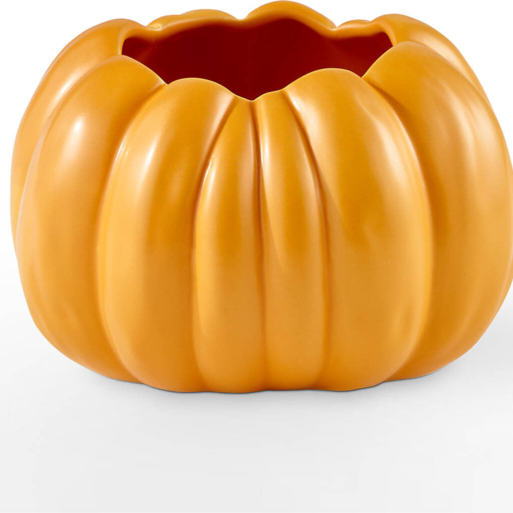 Golden Gourd Pumpkin Bouquet –  Springerville Flower Shop, Springerville AZ