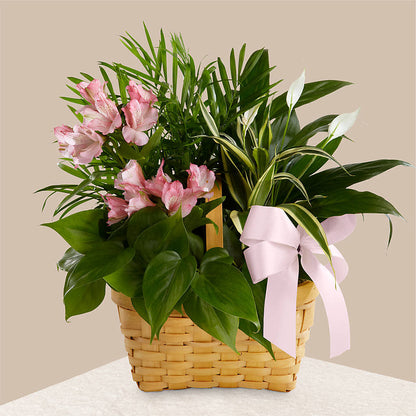 Living Spirit Dishgarden –  Springerville Flower Shop, Springerville AZ