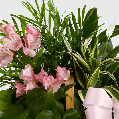 Living Spirit Dishgarden –  Springerville Flower Shop, Springerville AZ