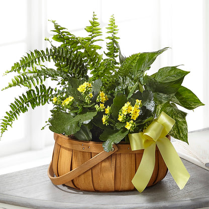 Always Dear Dishgarden –  Springerville Flower Shop, Springerville AZ