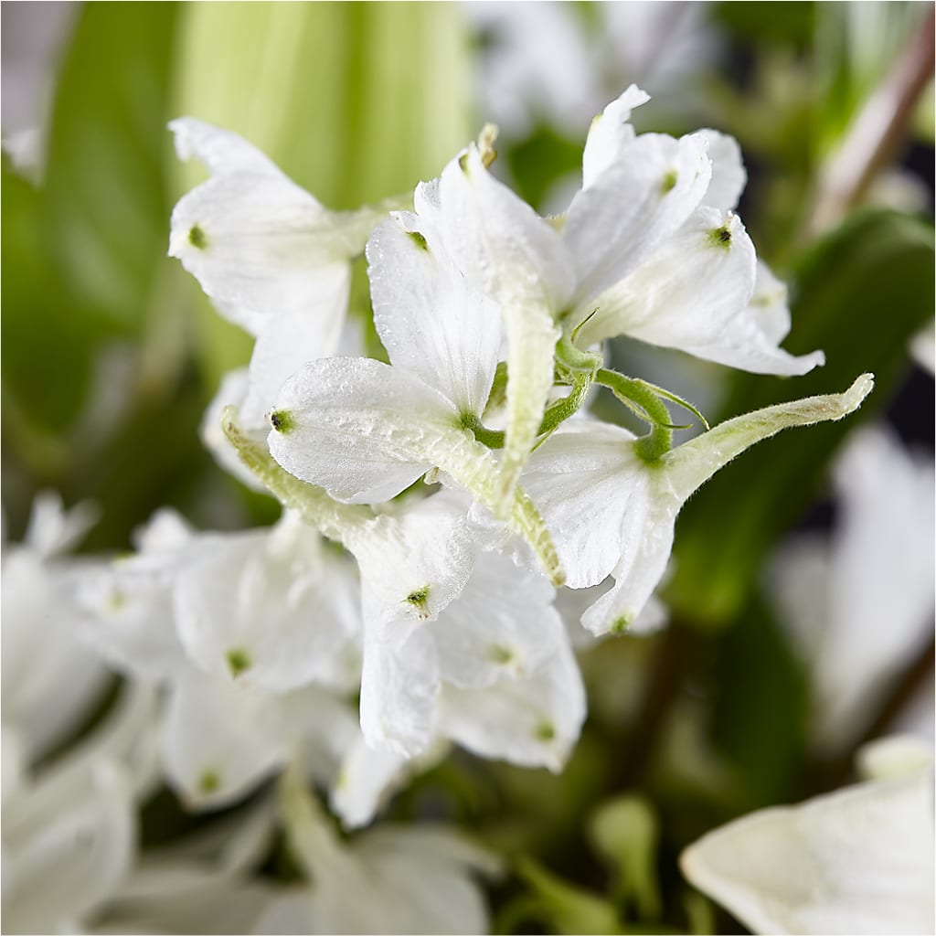 Classic Ivory – A Florist Original –  Springerville Flower Shop, Springerville AZ