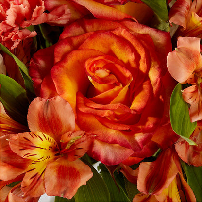 Apricot Glow Bouquet –  Springerville Flower Shop, Springerville AZ