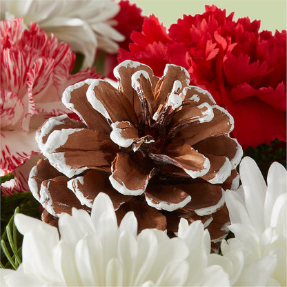 Candy Cane Lane Bouquet –  Springerville Flower Shop, Springerville AZ