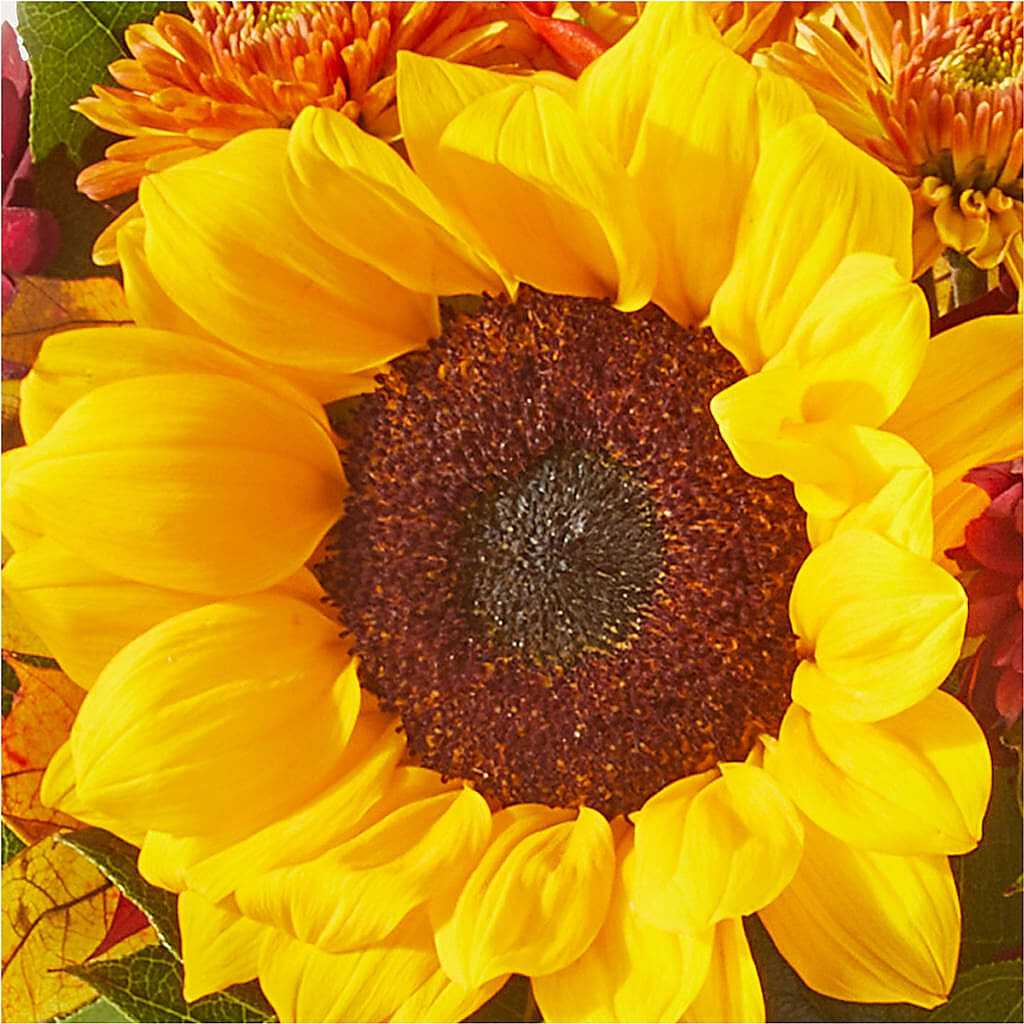 Sunny Side Bouquet –  Springerville Flower Shop, Springerville AZ