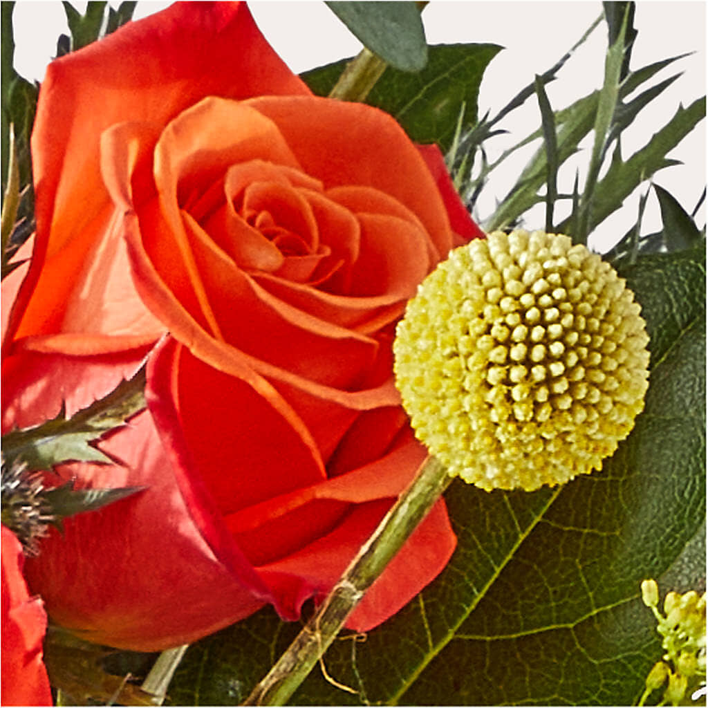 Disco Bouquet –  Springerville Flower Shop, Springerville AZ