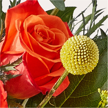 Disco Bouquet –  Springerville Flower Shop, Springerville AZ