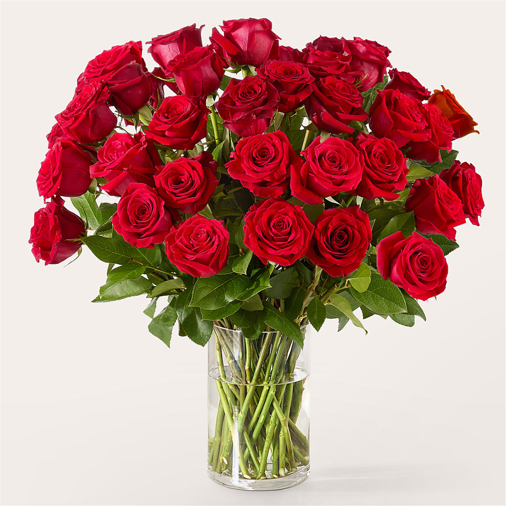 The One Red Rose Bouquet –  Springerville Flower Shop, Springerville AZ