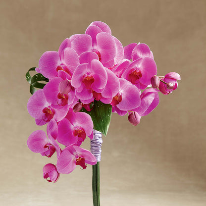 Glorious Bouquet –  Springerville Flower Shop, Springerville AZ