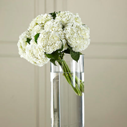 White Hydrangea Hand-Tied Bouquet –  Springerville Flower Shop, Springerville AZ