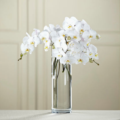 White Phalaenopsis Bouquet –  Springerville Flower Shop, Springerville AZ