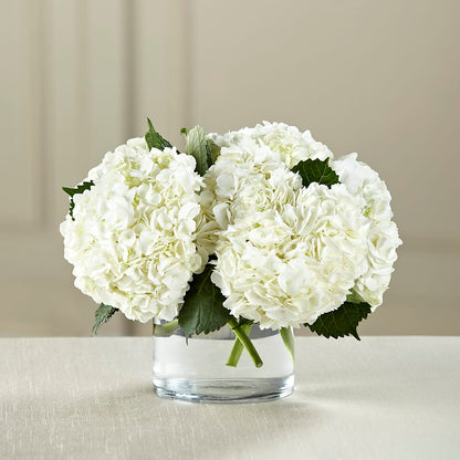White Hydrangea Bouquet –  Springerville Flower Shop, Springerville AZ
